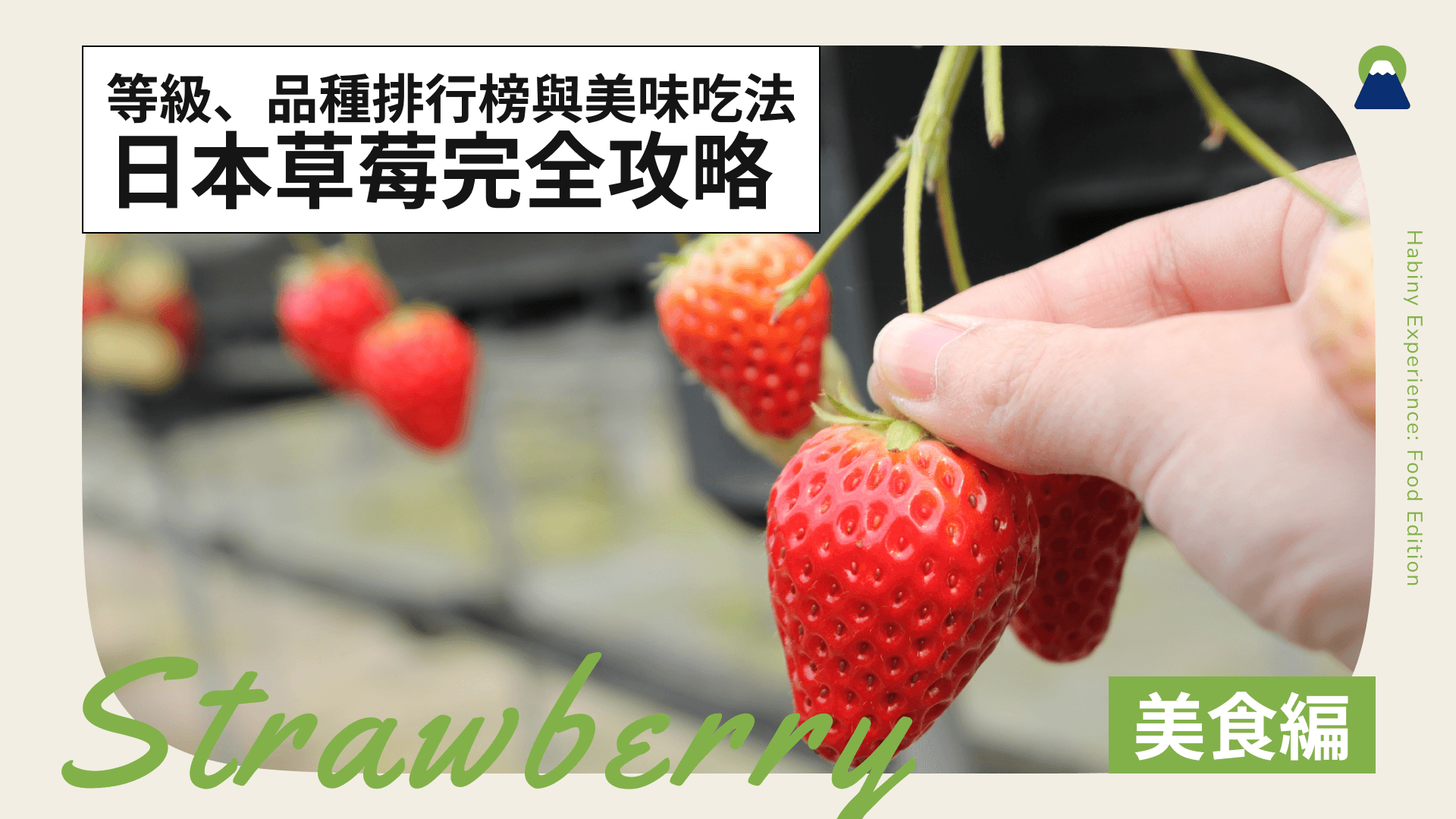 日本草莓完全攻略！等級、品種排行榜與美味吃法
